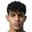 Ziad Tarek