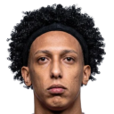 ويلي فيانا