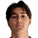 غافين موينز