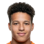 شيفو
