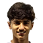 الشمري