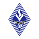 Waldhof Mannheim